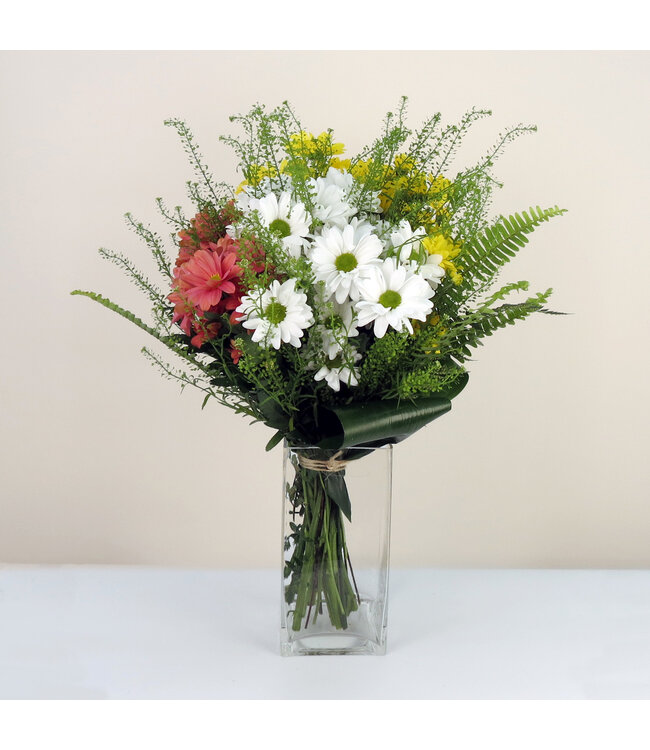 Margo à gogo | Explosion de marguerites colorées pour le printemps