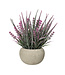 Lavande lilas en pot |  Délicat et lumineux