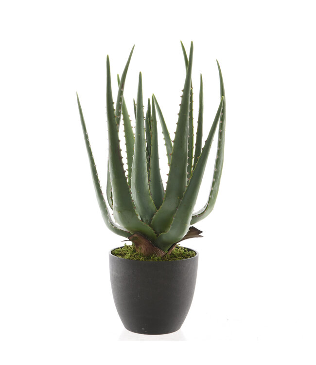 Aloe artificielle en pot - 15,5"