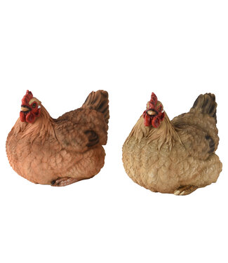 Poule décorative