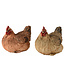 Poule décorative