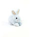 Ditz Designs Lapin doux bleu – Compagnon décoratif élégant