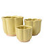 Cache-pot fleur jaune | Pot design au look vintage