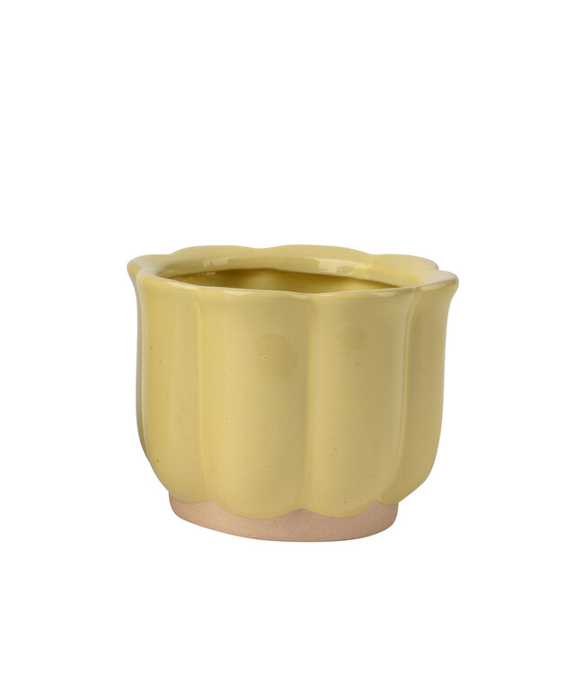 Cache-pot fleur jaune | Pot design au look vintage