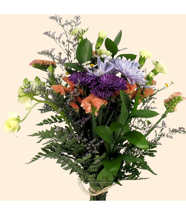 FM-2501 | Brume matinale | Délicate Éclosion