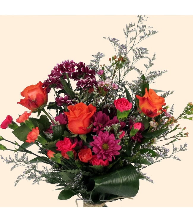 Signé Garneau FM-2504 | Flamingo | Explosion de vivacité