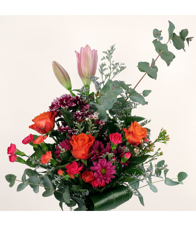 Signé Garneau FM-2504 | Flamingo | Explosion de vivacité