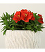 Alstroemeria  8 po | Éclat floral pour intérieur et jardin