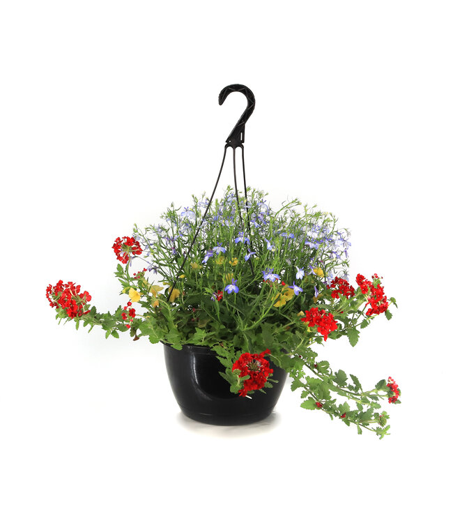 Jardinière victorienne 10 po | Éclat victorien de charme
