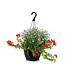 Jardinière victorienne 10 po | Éclat victorien de charme