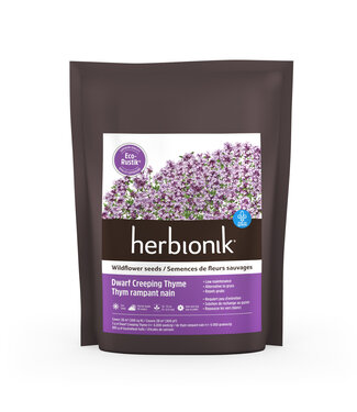 Herbionik Semences Herbionik Eco-Rustik thym rampant nain