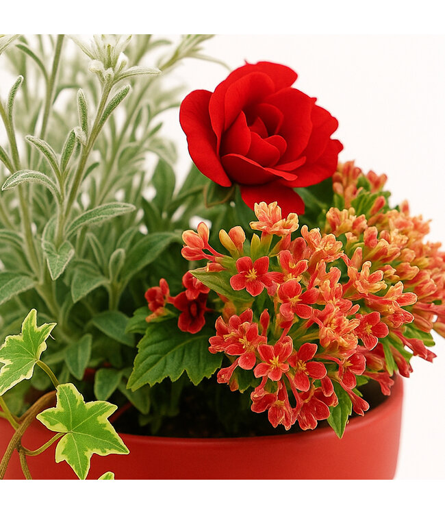 Arrangement fleurs annuelles 9 po | La parfaite potée fleurie