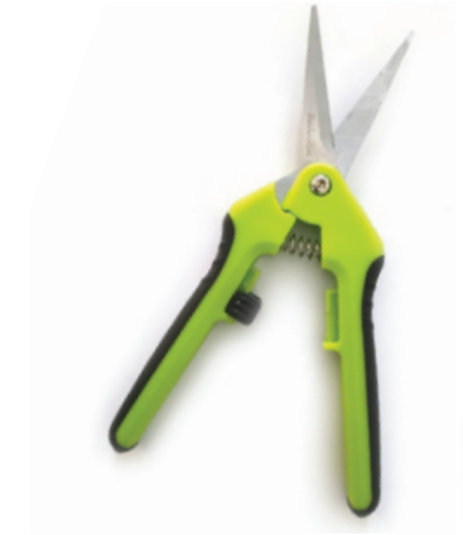 Ciseau à fleurs droit | Précision et confort pour vos compositions florales