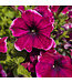 Jardinière fleurs ou légumes 10 po | Cultivez fleurs et légumes avec style