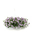 Jardinière fleurs ou légumes 10 po