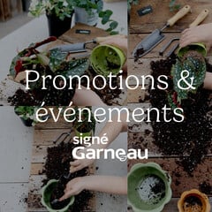Promotions et événements