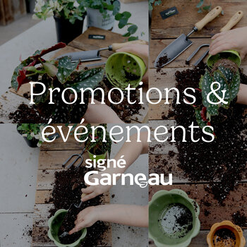 Promotions et événements