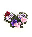 Violette africaine 5 po | Fleurs élégantes et feuillage velouté