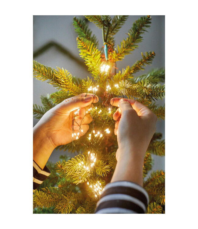 Grappe lumières micro LED blanc chaud | Éclat festif lumineux
