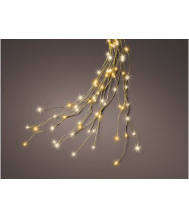 Grappe lumières micro LED blanc chaud | Éclat festif lumineux