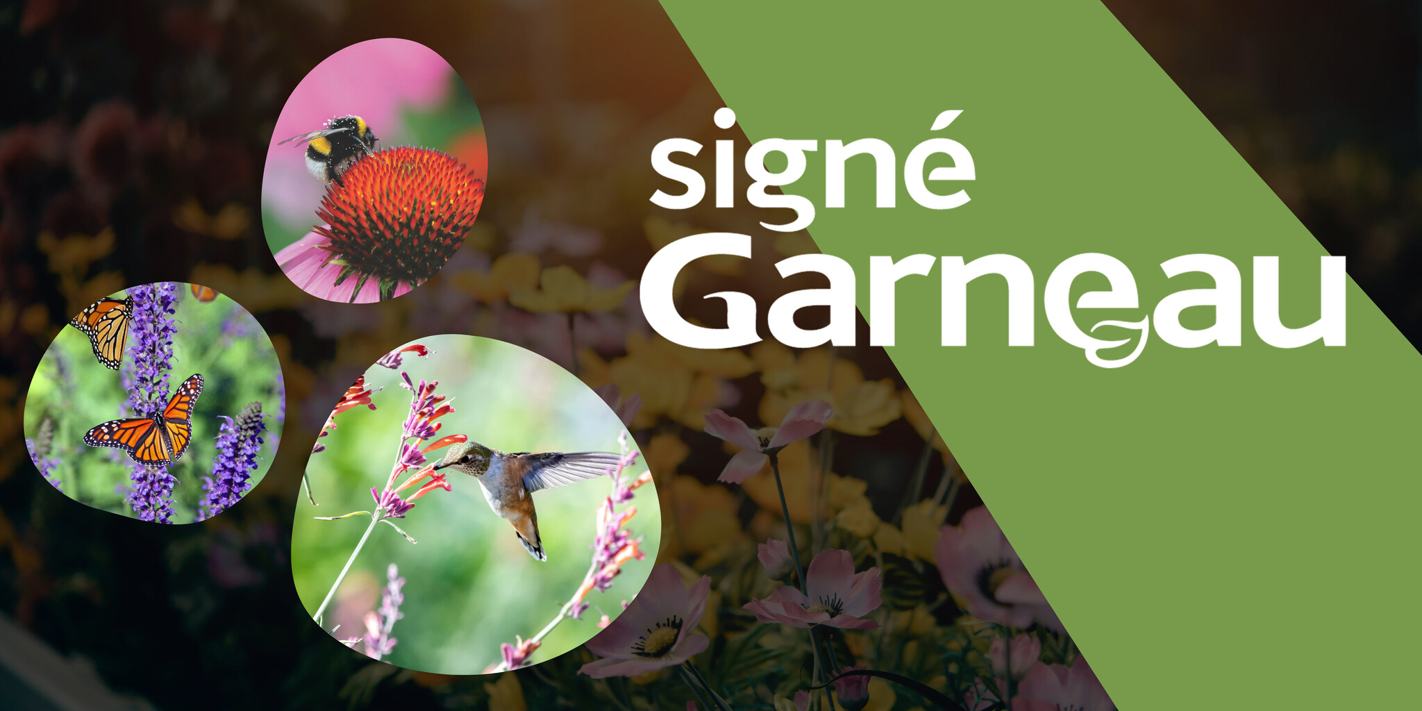 Créez un jardin de rêve pour les pollinisateurs… et un cauchemar pour les insectes indésirables!