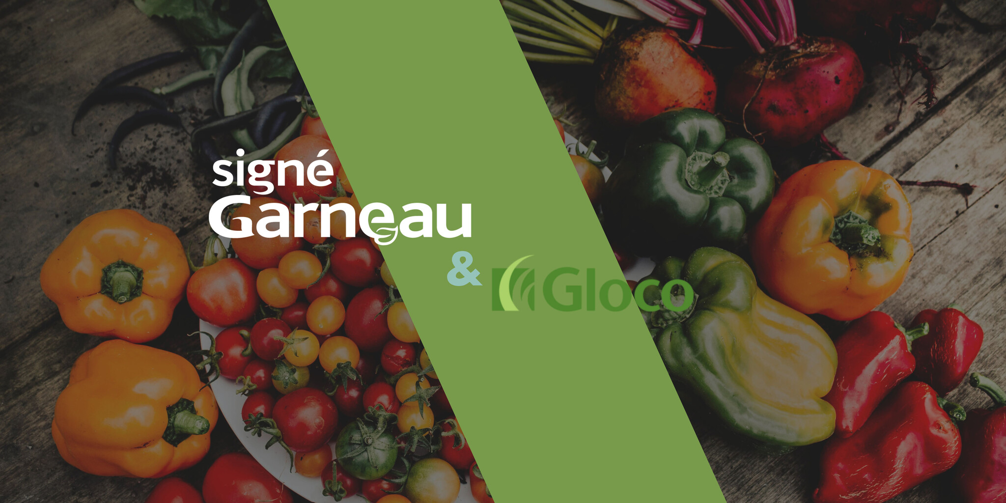  Bionik® & Herbionik® par Gloco | Potager en santé | Fièrement un de nos fournisseurs québécois favori!