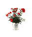 Rosa Oso Easy Urban Legend 2 gal | Floraison rouge vif, entretien minimal, résistant aux maladies