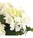 Bouquet de géranium blanc UV 18 po | Fleurs artificielles réalistes résistantes aux UV pour intérieur et extérieur