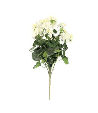 Bouquet de géranium blanc UV 24 po