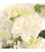 Bouquet de géranium blanc UV 24 po | Fleurs artificielles réalistes et résistantes aux UV pour intérieur et extérieur
