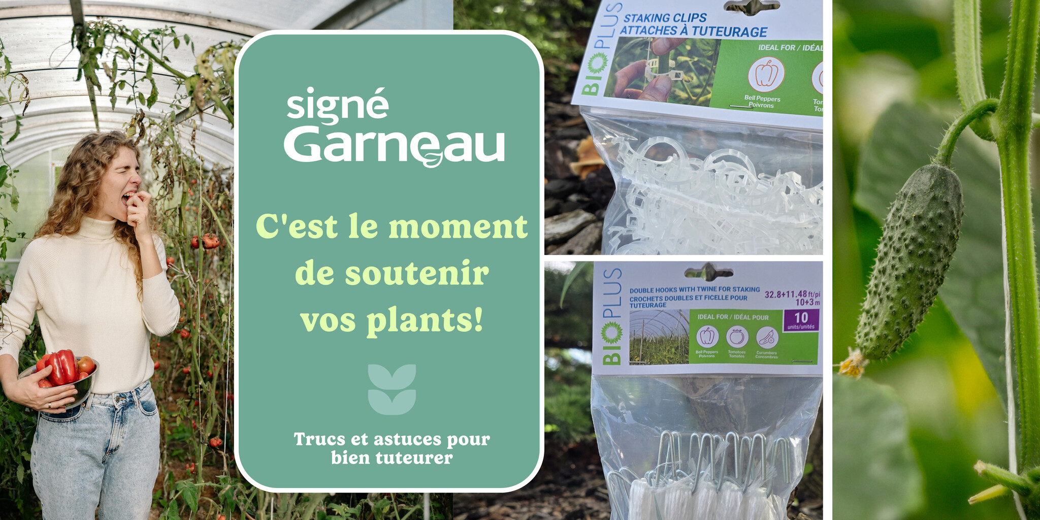 C'est le moment de soutenir vos plants! | Comment bien tuteurer ses plants
