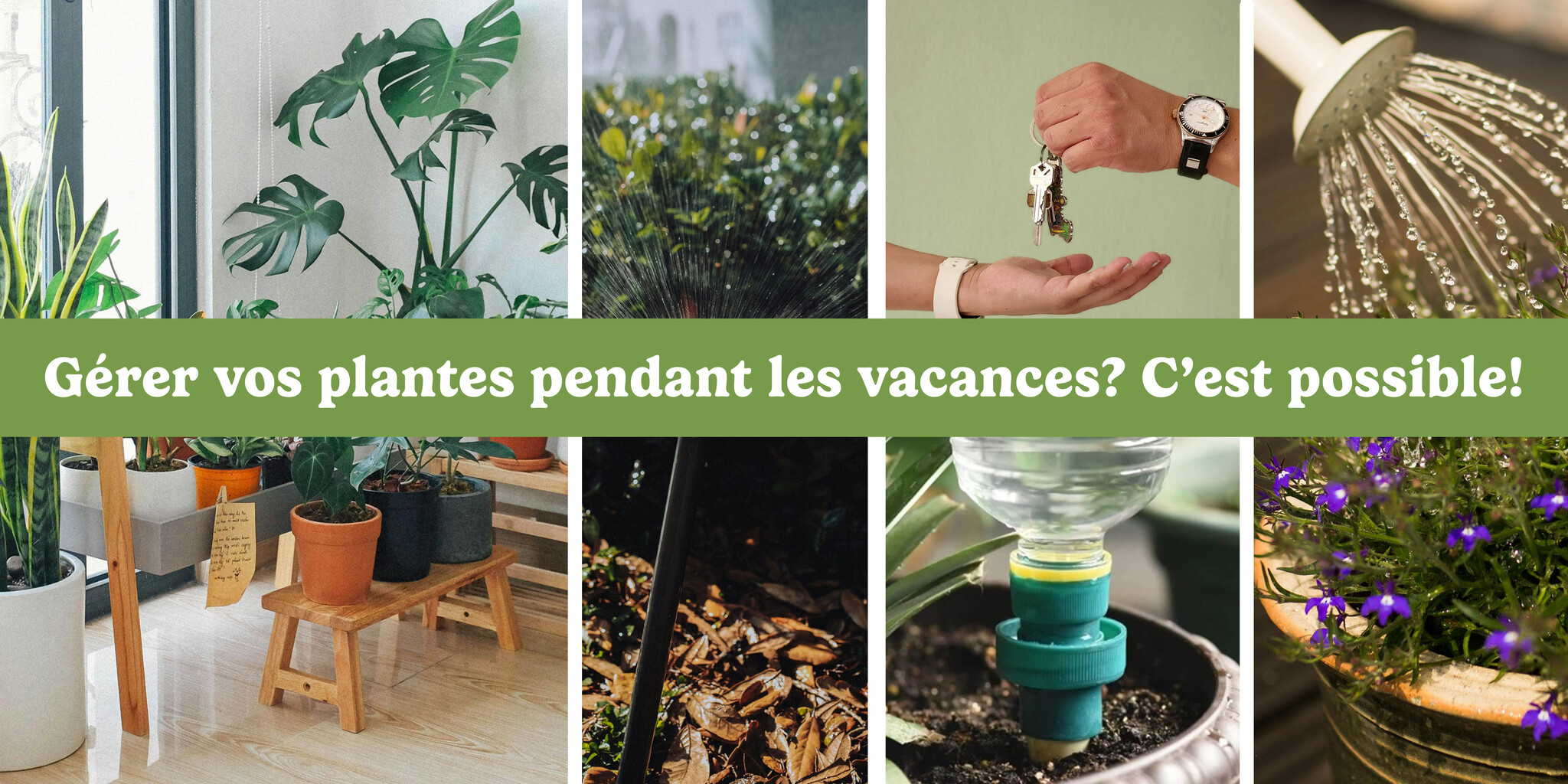 Gérer nos plantes pendant les vacances? C'est possible!