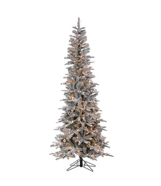 Sapin Snowcrest enneigé