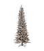 Sapin Snowcrest enneigé