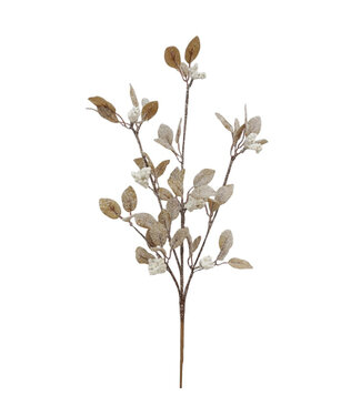Tige de feuilles brunes et baies blanches