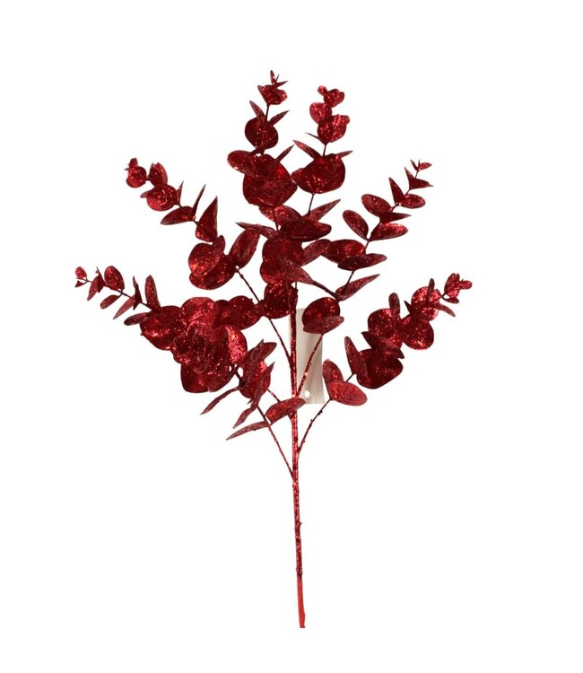 Tige de feuilles eucalyptus rouge | Élégance festive