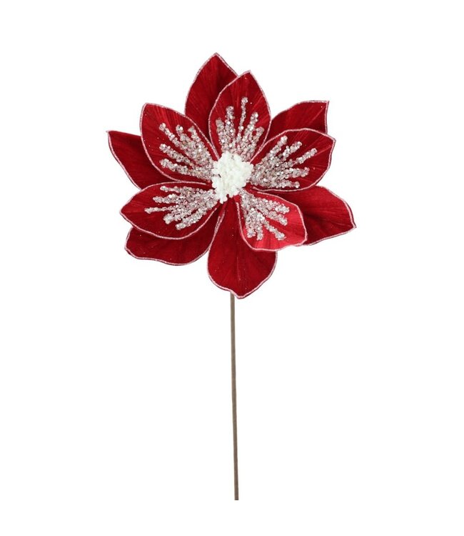 Fleur de poinsettia rouge sur tige  | Raffinée