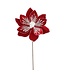 Fleur de poinsettia rouge sur tige  | Raffinée