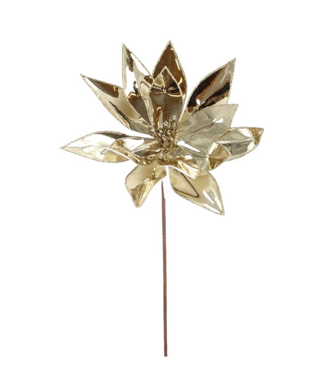 Fleur de poinsettia métallique couleur champagne | Élégante