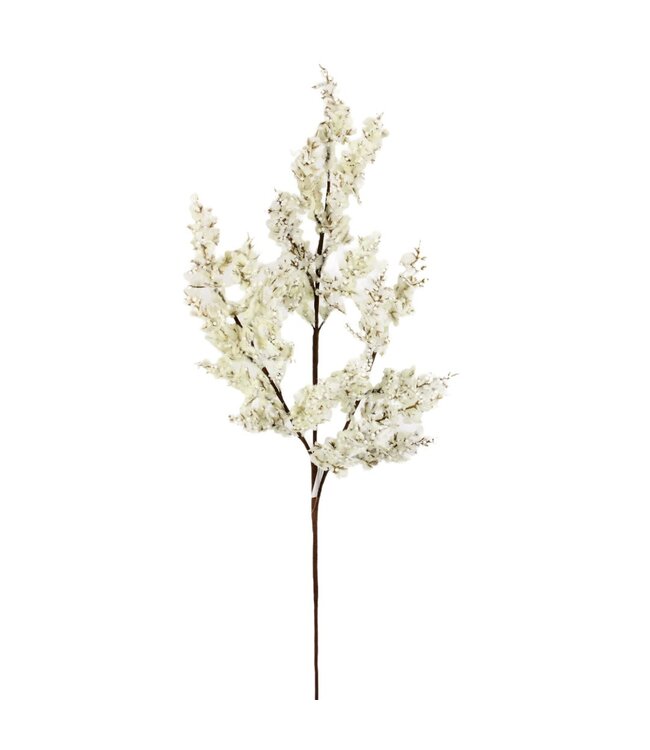 Tige avec petites baies et feuilles blanches ! Poétique