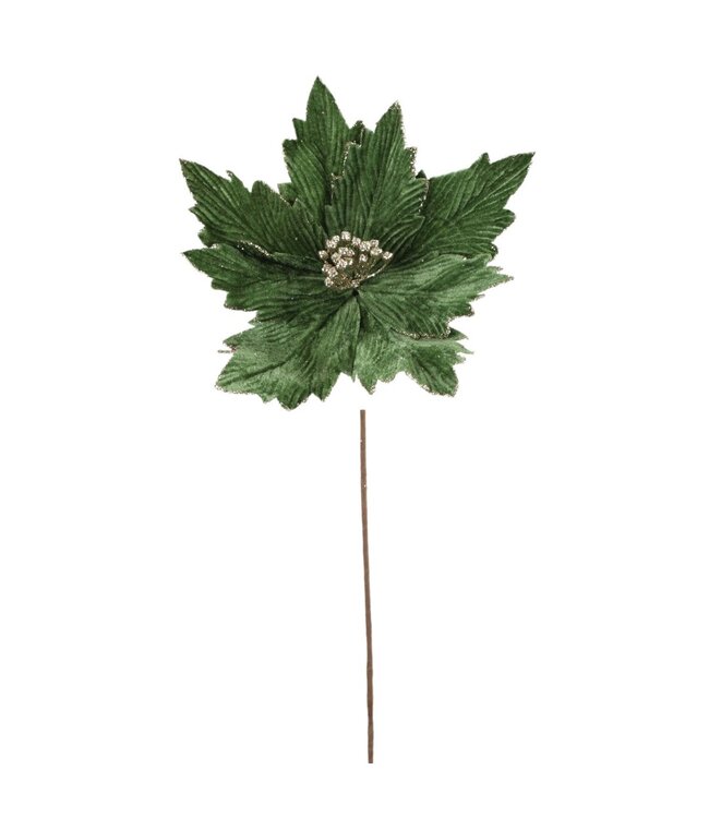 Fleur de poinsettia vert et or | Raffinée