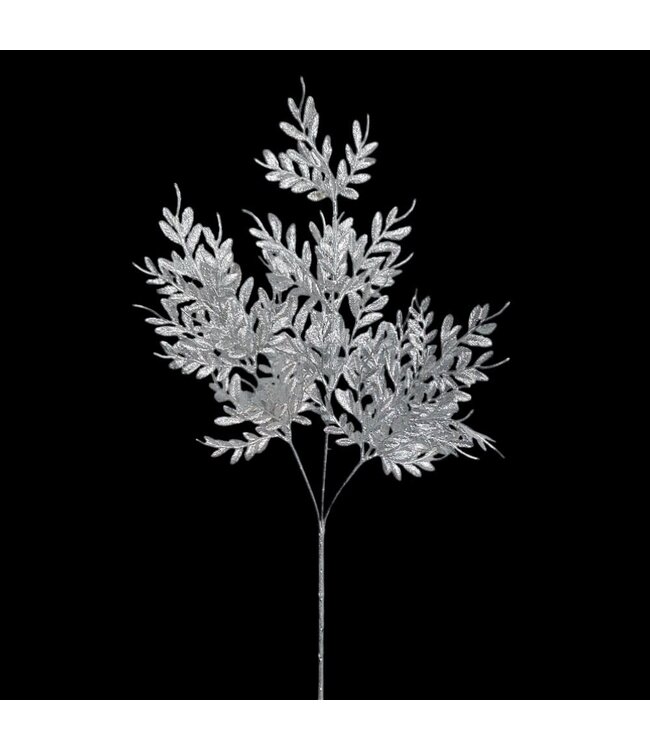 Feuilles de buis argenté | Nature chic