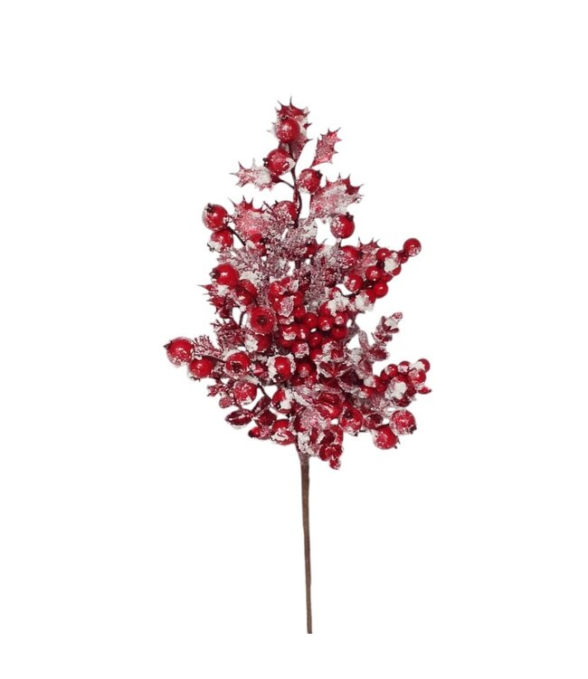 Tige enneigée avec houx et baies rouge | Raffinée