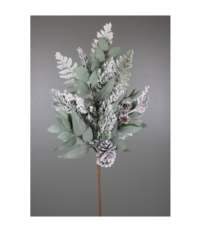 Tige de verdure mixte | Éclat naturel