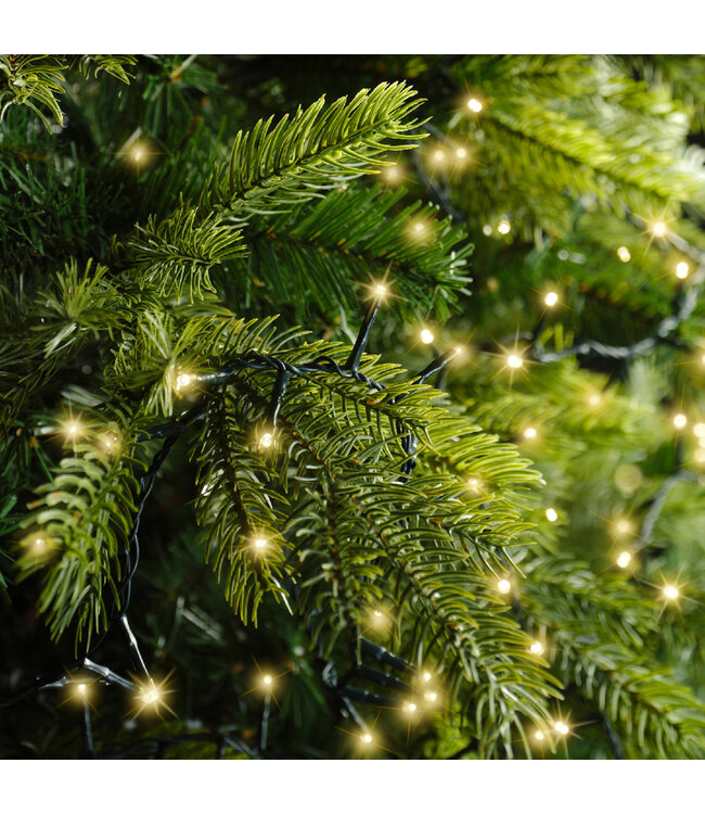 Lumières compact LED fils vert champagne 3000 lum. / 197 pi | Ambiance féérique