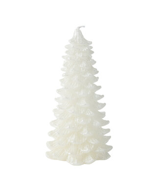 Chandelle sapin blanc