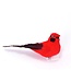 Cardinal rouge sur pince
