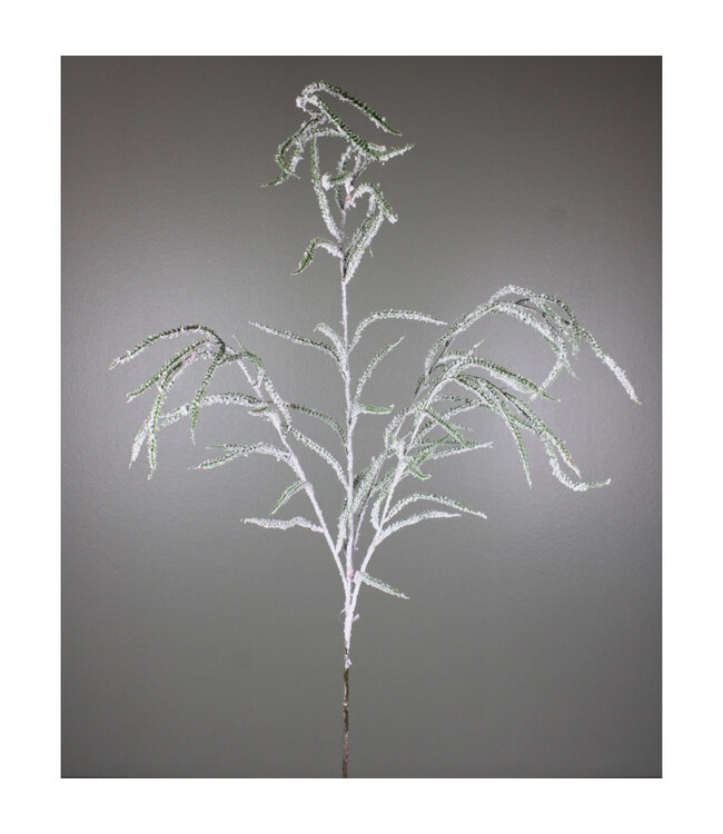 Tige d'astilbe verte enneigée | Un éclat naturel d’un Noël enchanté