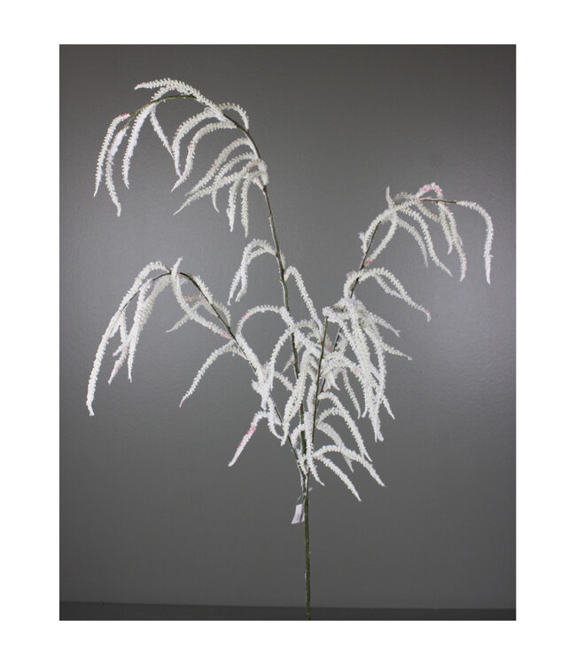 Tige blanche d'astilbe enneigée | Une touche féérique de Noël