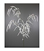 Tige blanche d'astilbe enneigée
